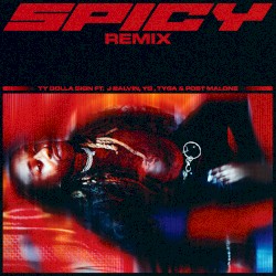 Spicy (remix)