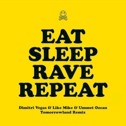 Eat, Sleep, Rave, Repeat (Dimitri Vegas & Like Mike vs Ummet Ozcan Tomorrowland remix)