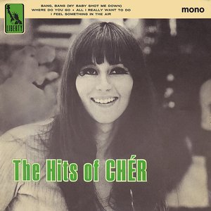 The Hits of Cher