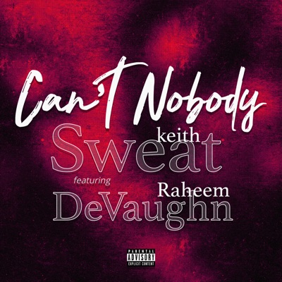 Can't Nobody (feat. Raheem DeVaughn)