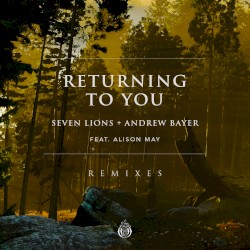 Returning to You (remixes)