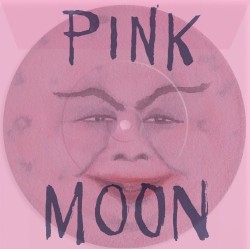 Pink Moon