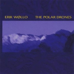 The Polar Drones