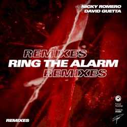 Ring the Alarm (Remixes)