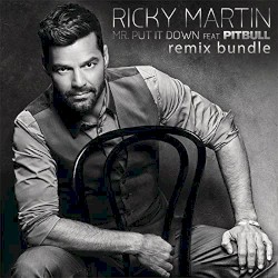 Mr. Put It Down (Remixes)