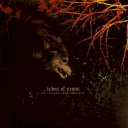 The Forest That Shelters / Filament