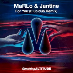 For You (Elucidus remix)