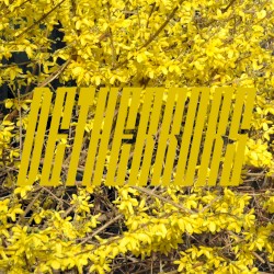 Detherrors