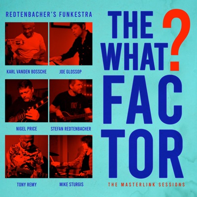 The What Factor? (feat. Nigel Price & Tony Remy) [The Masterlink Sessions]