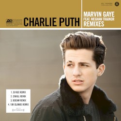 Marvin Gaye (Remixes)