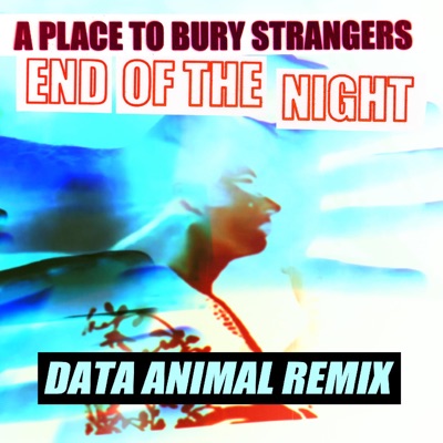 End of the Night (Data Animal Remix)