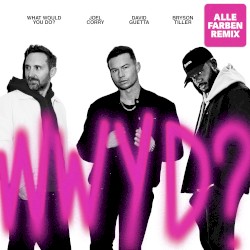 What Would You Do? (Alle Farben remix)