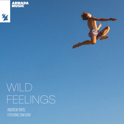 Wild Feelings (feat. Sam Gray)