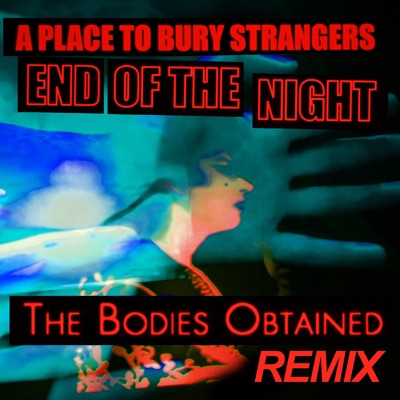 End of the Night (The Bodies Obtained Remix)