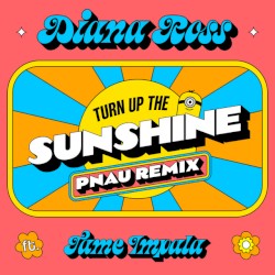 Turn Up the Sunshine (PNAU remix)