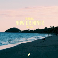 Now Or Never (Yetep remix)