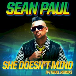 She Doesn't Mind (Pitbull remix)