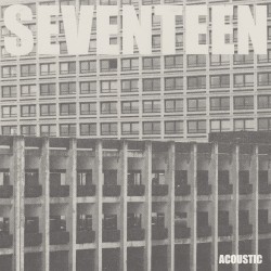 Seventeen Going Under (acoustic)