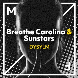 DYSYLM