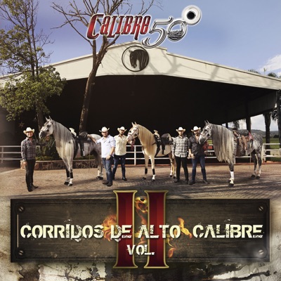 Corridos De Alto Calibre (Vol. II)