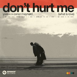 Don’t Hurt Me (What Is Love)