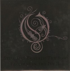 Still Day Beneath the Sun