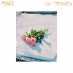 2001 (Remixes)