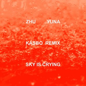 Sky Is Crying (Kasbo remix)