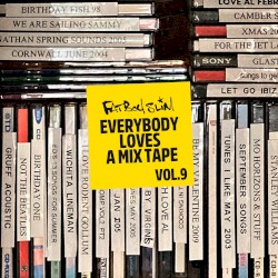 Everybody Loves a Mixtape, Vol. 9: Big Beach Boutique Revisited (DJ mix)