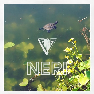 Neri