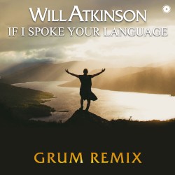 If I Spoke Your Language (Grum remix)