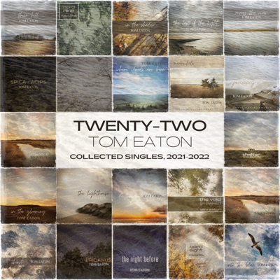 Twenty-Two: Collected Singles 2021-2022