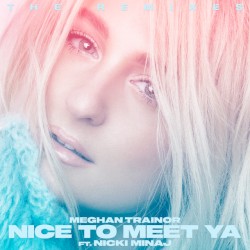 Nice to Meet Ya [The Remixes]