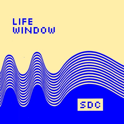 Life Window