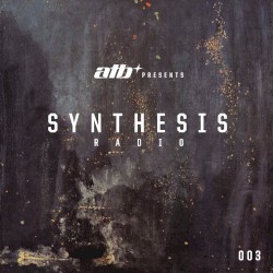 Synthesis 003