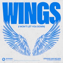 Wings (I Won't Let You Down)