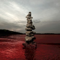 Blood From a Stone / The Day I Tried to Live