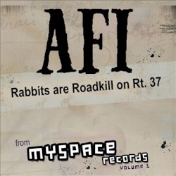 Rabbits Are Roadkill on Rt. 37