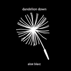Dandelion Down