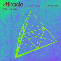 Miracle (Wilkinson remix)