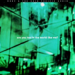 Are You Lost in the World Like Me (Remixes)
