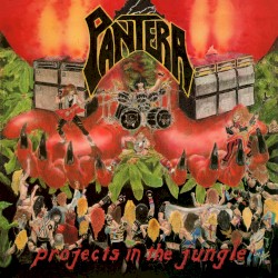 Projects in the Jungle