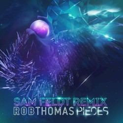 Pieces (Sam Feldt remix)