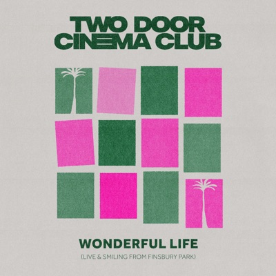 Wonderful Life (Live & Smiling From Finsbury Park)