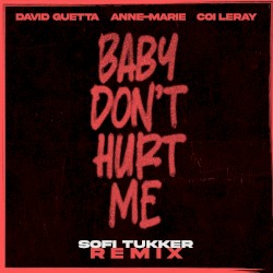 Baby Don’t Hurt Me (Sofi Tukker remix)