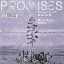 Promises (David Guetta remix)