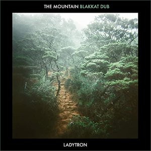 The Mountain (Blakkat Dub)