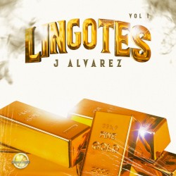 Lingotes, vol. 1