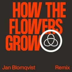 How the Flowers Grow (Jan Blomqvist remix)