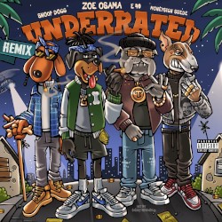 Underrated (remix)